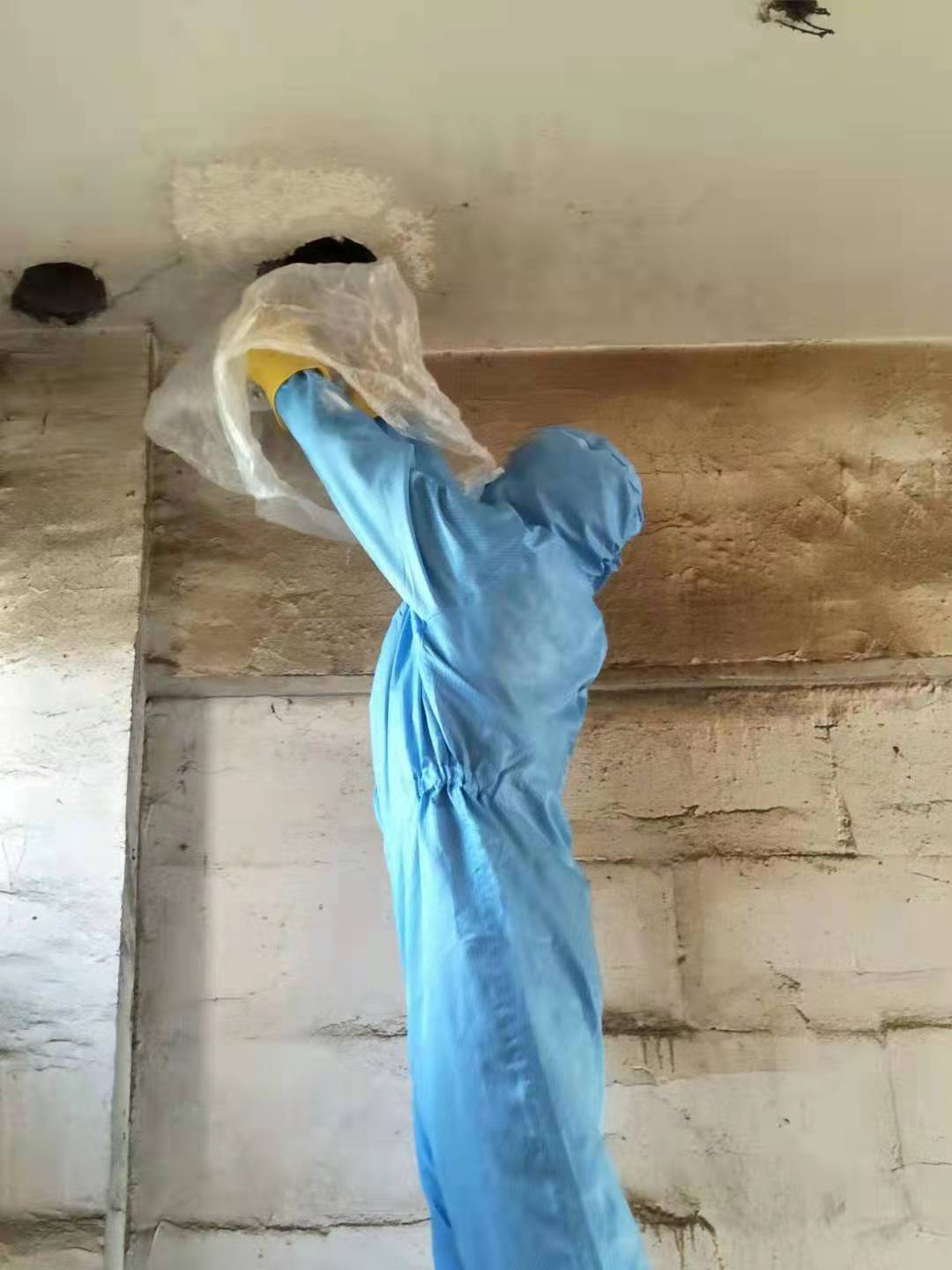凉山彝族自治州除虫
